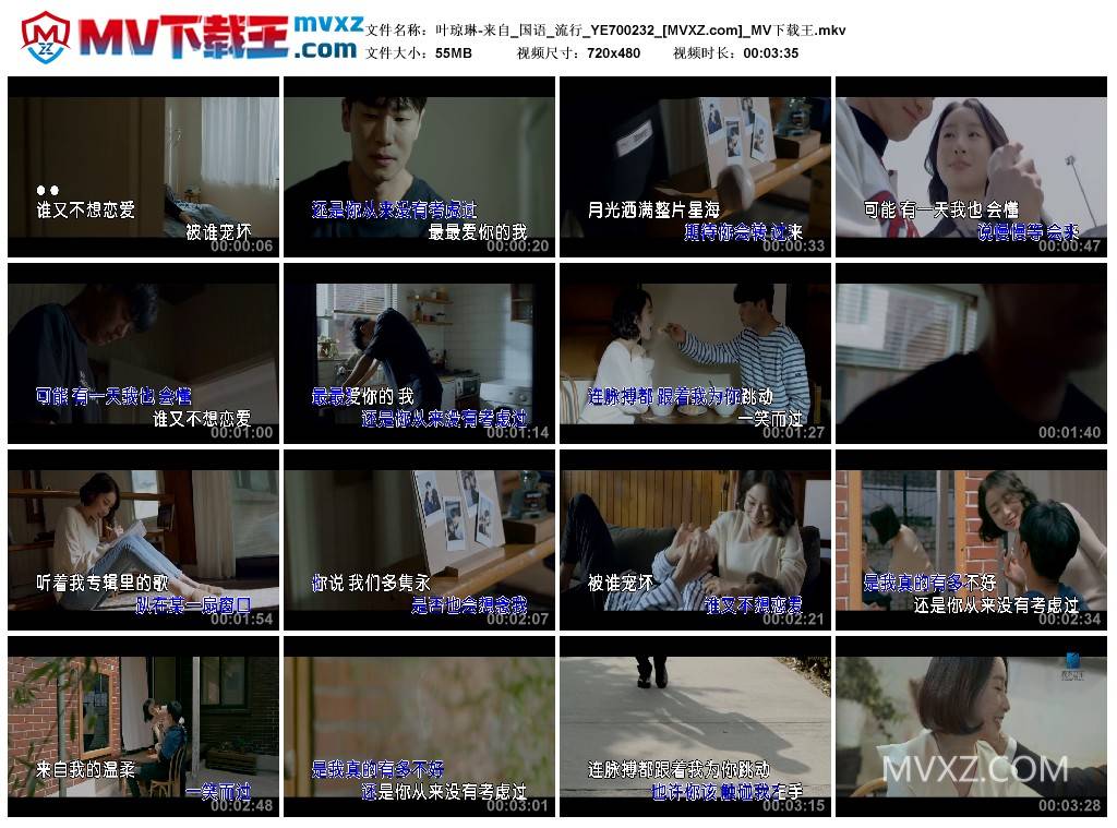 叶琼琳-来自_国语_流行_YE700232